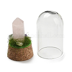 Natural Rose Quartz Bullet Display Decoration with Glass Dome Cloche Cover&nbsp;DJEW-B009-02G