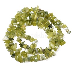 Natural Jade Chip Beads Strands&nbsp;G-B160-B02