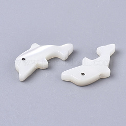 Natural Trochid Shell/Trochus Shell Beads&nbsp;SSHEL-N034-61