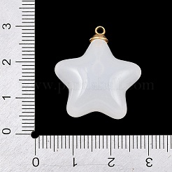 304ステンレススチール樹脂ペンダント  星のチャーム  ゴールド  透明  26x23x12.5mm  穴：1.6mm&nbsp;STAS-K322-11C-G