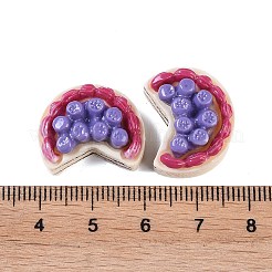 Opaque Resin Imitation Food Decoden Cabochons&nbsp;CRES-I032-02D