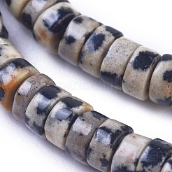 天然石ダルメシアンジャスパービーズ連売り  コラム  4.5~5x2~2.5mm  穴：0.6mm  約171個/連  15.35インチ〜15.55インチ（39~39.5cm）&nbsp;G-I265-08