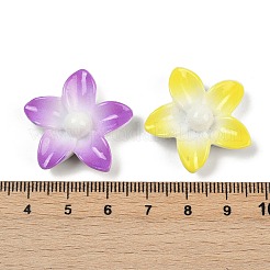 不透明な樹脂エナメルカボション  花  樹脂パール付き  ミックスカラー  27x28x8.5mm&nbsp;CRES-D308-06
