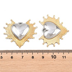 Valentine's Day 304 Stainless Steel Pendants&nbsp;STAS-G398-01GP