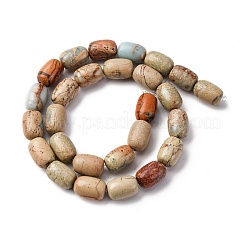 Natural Aqua Terra Jasper Beads Strands&nbsp;G-L624-C03-14x10mm