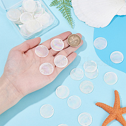 電気メッキ天然カピスシェルペンダント50個  ABカラーメッキ  ディスクチャーム  貝殻色  25x1mm  穴：1~1.5mm&nbsp;SSHEL-HY0001-13