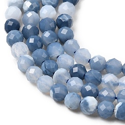 Natural Blue Opal Beads Strands&nbsp;G-P603-C-3mm-04