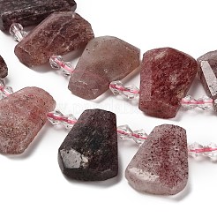 Natural Strawberry Quartz Beads Strands&nbsp;G-H078-A02-01