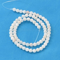 Natural Shell Beads Strands&nbsp;PRS001Y