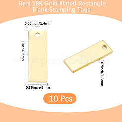 10Pcs 304 Stainless Steel Pendants&nbsp;STAS-BBC0010-34