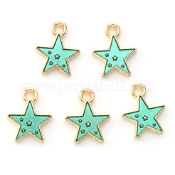 Alloy Enamel Charms&nbsp;X-ENAM-S121-028B