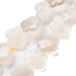 Natural White Agate Beads Strands&nbsp;G-F769-G01-02