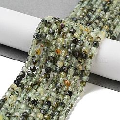 Natural Prehnite Beads Strands&nbsp;LS-G-B088-E16-04