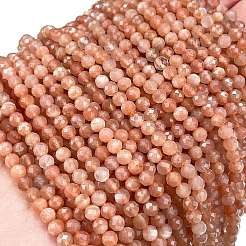 Natural Peach Moonstone Beads Strands&nbsp;G-C127-A02-02