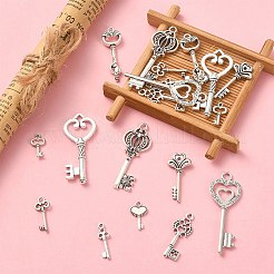 20個10スタイルチベットスタイルアロイペンダント  スケルトンキーペンダント  アンティークシルバー  15.5~50x7~19x1~5mm  穴：1~4mm  2個/スタイル&nbsp;TIBE-YW0001-34