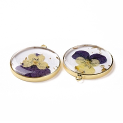Transparent Clear Epoxy Resin Pendants&nbsp;RESI-L036-12G-07
