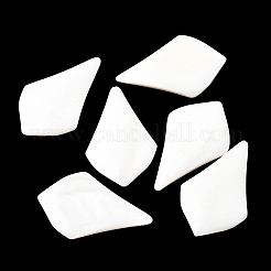 Natural Freshwater Shell Cabochons&nbsp;SHEL-K006-04