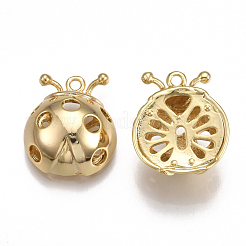 Brass Pendants&nbsp;KK-T038-125G