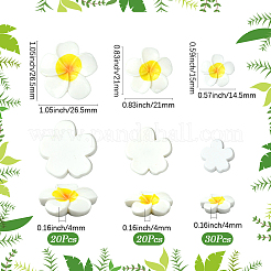 3 Styles Plastic Cabochons&nbsp;FIND-SC0019-49