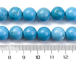 Dyed Natural Magnesite Beads Strands&nbsp;G-P558-A01-01A