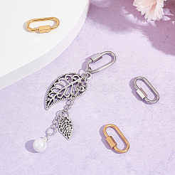 4Pcs 2 Colors 304 Stainless Steel Screw Carabiner Lock Charms&nbsp;STAS-UN0047-25