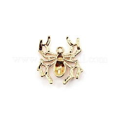 合金ペンダント  ハロウィン用  カドミウムフリー＆鉛フリー  クモ  ゴールドカラー  34x31x4.5mm  穴：2.5mm&nbsp;PALLOY-WH0090-88G