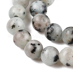 Natural Sesame Jasper/Kiwi Jasper Bead Strands&nbsp;G-R345-6mm-36