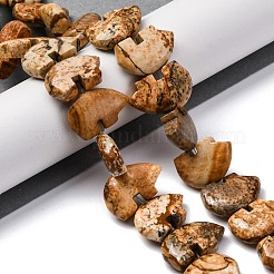 天然石ピクチャージャスパービーズ連売り  ズニベア  12~13x18.5~19.5x6~6.5mm  穴：1mm  約28~33個/連  12.99~16.54インチ（33~42cm）&nbsp;G-F783-G03-01