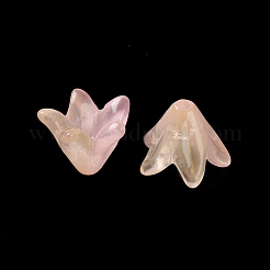 Spray Painted Transparent Glass Beads&nbsp;GLAA-D006-14