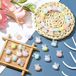 60個6色無色透明アクリルビーズ  艶消し  DIYアクセサリー  二層ビーズ  兎  ミックスカラー  15.5x12x10mm  穴：2mm  10個/カラー&nbsp;FACR-CJ0001-10