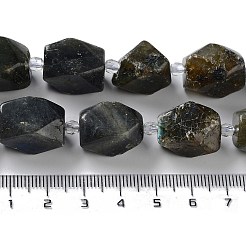 Natural Larvikite Beads Strands&nbsp;G-C182-17-02