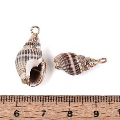 Electroplate Spiral Shell Pendants&nbsp;X-SSHEL-S261-10