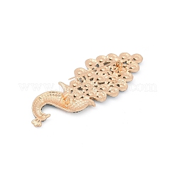 Zinc Alloy Brooch&nbsp;JEWB-C040-03G