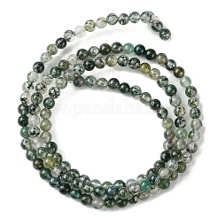 Natural Moss Agate Beads Strands&nbsp;G-K365-C06-01