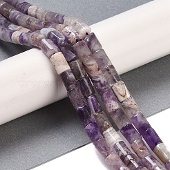 Natural Amethyst Beads Strands&nbsp;G-C128-A02-01