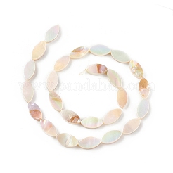 Natural Freshwater Shell Beads Strands&nbsp;SHEL-T009-22