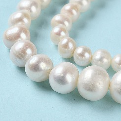 天然養殖淡水パールビーズ連売り  グラデーションラウンド  パパイヤホイップ  4~11x3~10mm  穴：0.5mm  約77個/連  15.87''（40.3センチメートル）&nbsp;PEAR-E018-67
