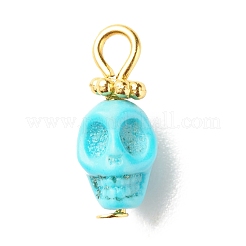 Dyed Synthetic Turquoise Charms&nbsp;PALLOY-JF01452-02