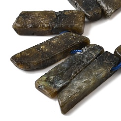 Natural Larvikite Beads Strands&nbsp;G-S386-D10