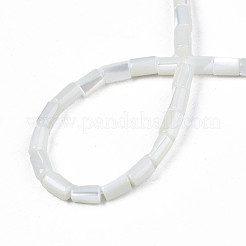 Natural Freshwater Shell Beads Strands&nbsp;SHEL-N003-26-A01