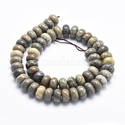 Natural Fossil Coral Beads Strands&nbsp;G-K256-10D