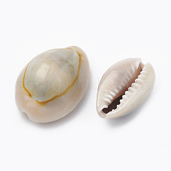 Cowrie Shell Beads&nbsp;SSHEL-T004-04