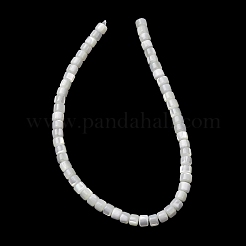 天然トロチッドシェル/トロカスシェルビーズ連売り  ディスク  ヒシビーズ  ホワイト  4x3mm  穴：0.8mm  約57個/連  7.09''（18センチメートル）&nbsp;SH-CBA2978-18A