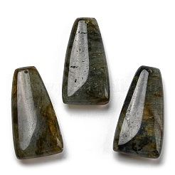 Natural Labradorite Pendants&nbsp;G-M405-11
