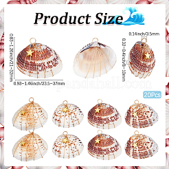20Pcs Natural Clam Shell Copper Wire Wrapped Pendants&nbsp;FIND-SC0014-24