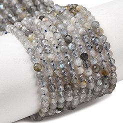 Natural Labradorite Beads Strands&nbsp;LS-G-RM250104-E8