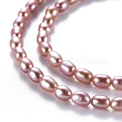 Natural Cultured Freshwater Pearl Beads Strands&nbsp;PEAR-N012-02D