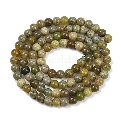 Natural Canada Jade Beads Strands&nbsp;G-B171-B01-4mm