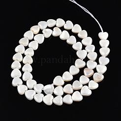 Natural Freshwater Shell Beads Strands&nbsp;SHEL-N026-220A