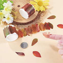 カード作りに使える秋の葉っぱの紙テープステッカー  芸術品や工芸品のプロジェクト  スクラップブック  ココナッツブラウン  28~30x13~20mm  ステッカー50枚/ロール&nbsp;DIY-TAC0032-23C